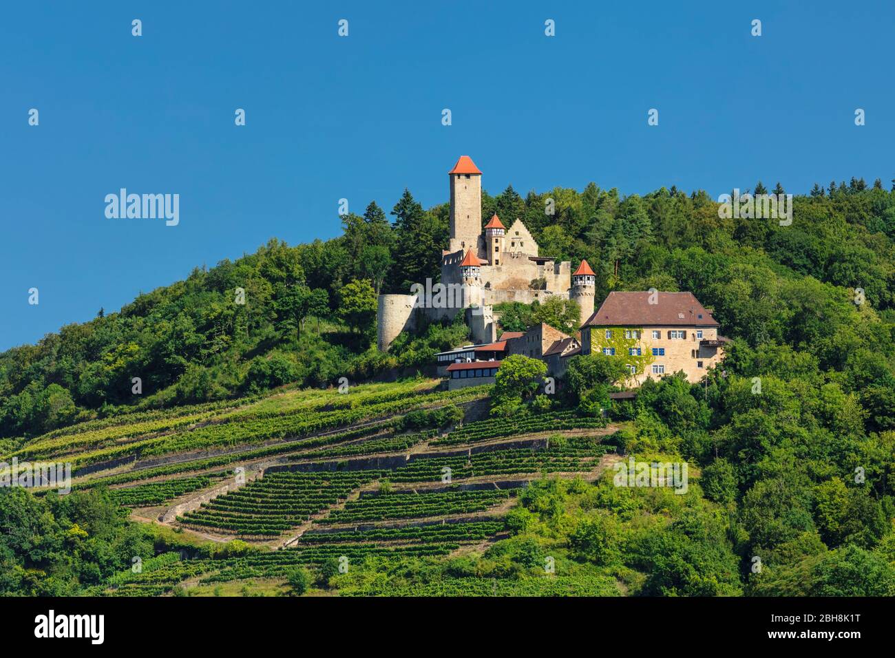 Castello di Hornberg, Neckarzimmern, Neckartal, Neckar-Odenwald-Kreis, Baden-Wurttemberg, Germania Foto Stock