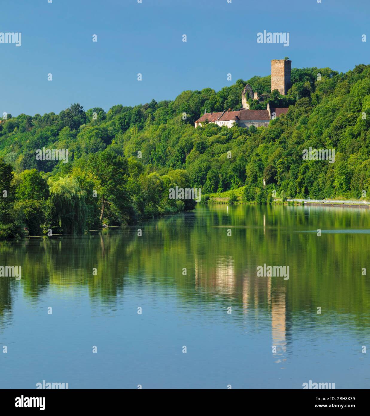 Castello di Ehrenberg, Heinsheim, strada del Castello, Valle del Neckar, cerchio di Neckar-Odenwald, Baden-Wurttemberg, Germania Foto Stock