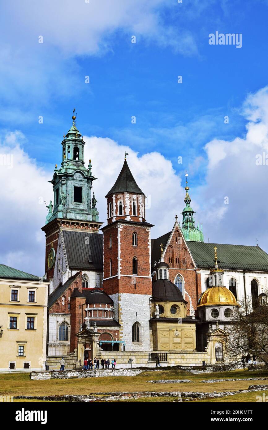 Cattedrale di Wawel a Cracovia, Polonia, verticale Foto Stock