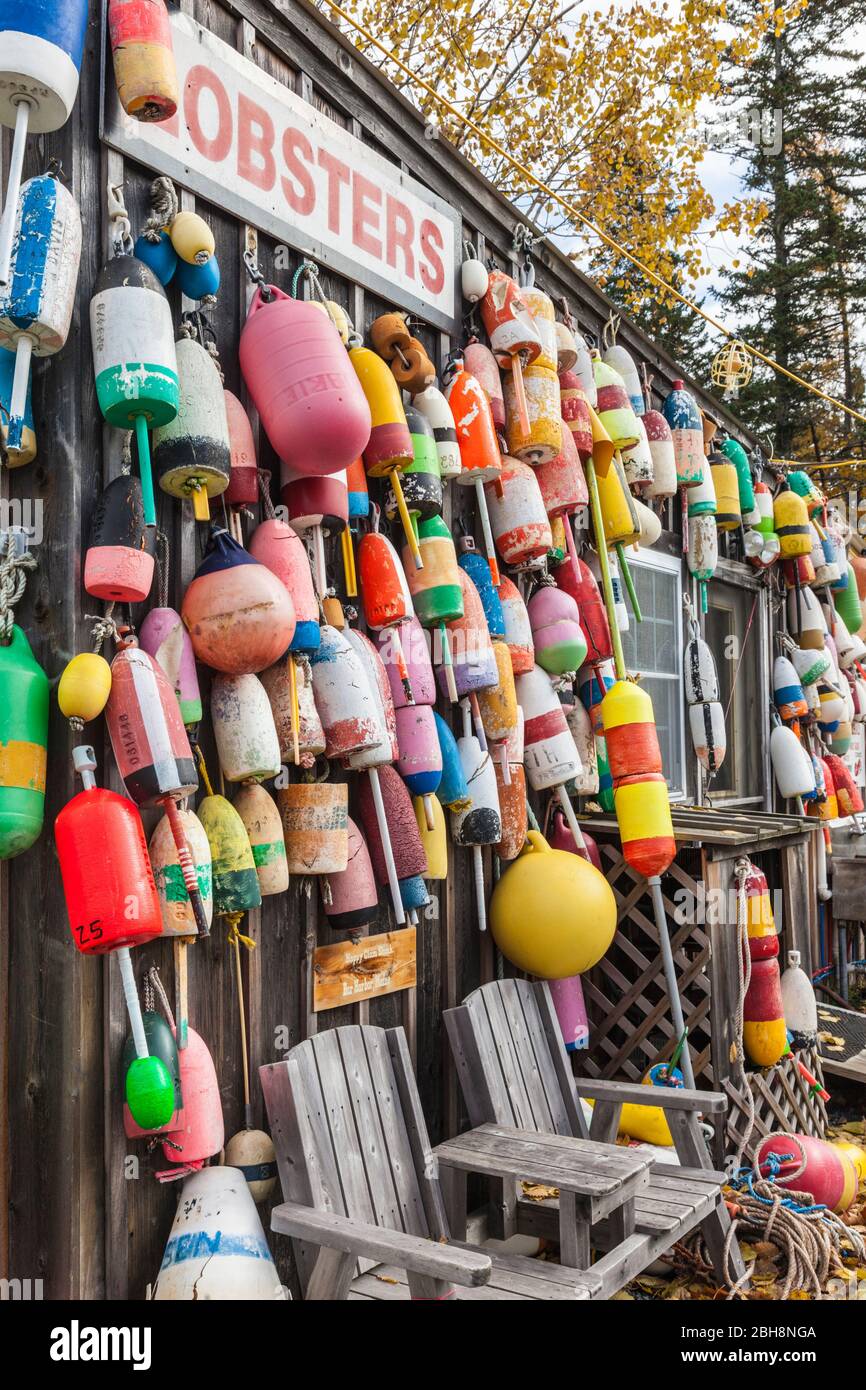 Stati Uniti d'America, Maine, Mt. Isola deserta, Eden, tradizionale lobster shack Seafood restaurant, autunno Foto Stock