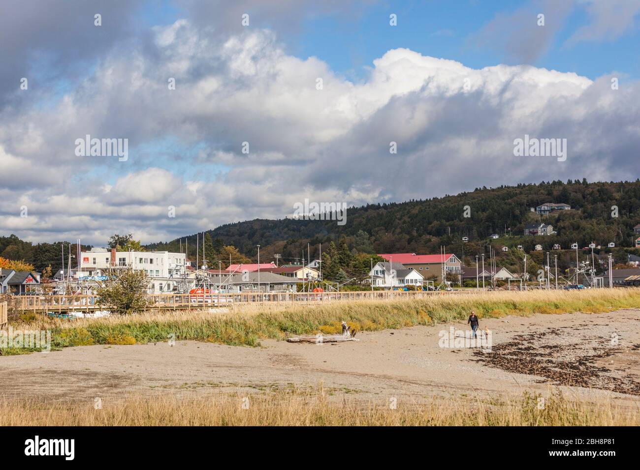 Canada, New Brunswick, Baia di Fundy, Alma, gateway di Fundy National Park, vista villaggio Foto Stock