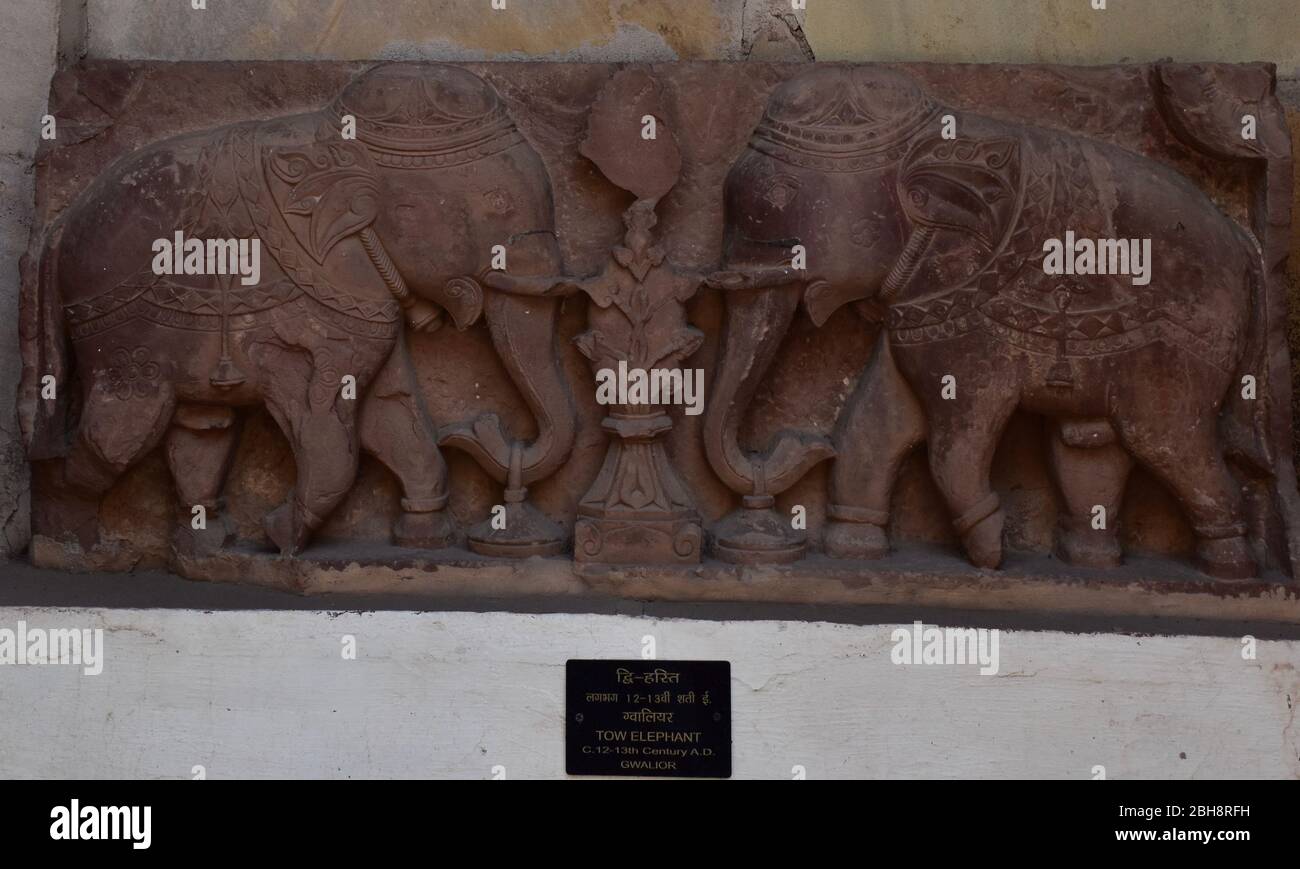 Gwalior, Madhya Pradesh/India - 15 Marzo 2020 : scultura di due Elefanti costruita nel 12-13 secolo d.C. Foto Stock