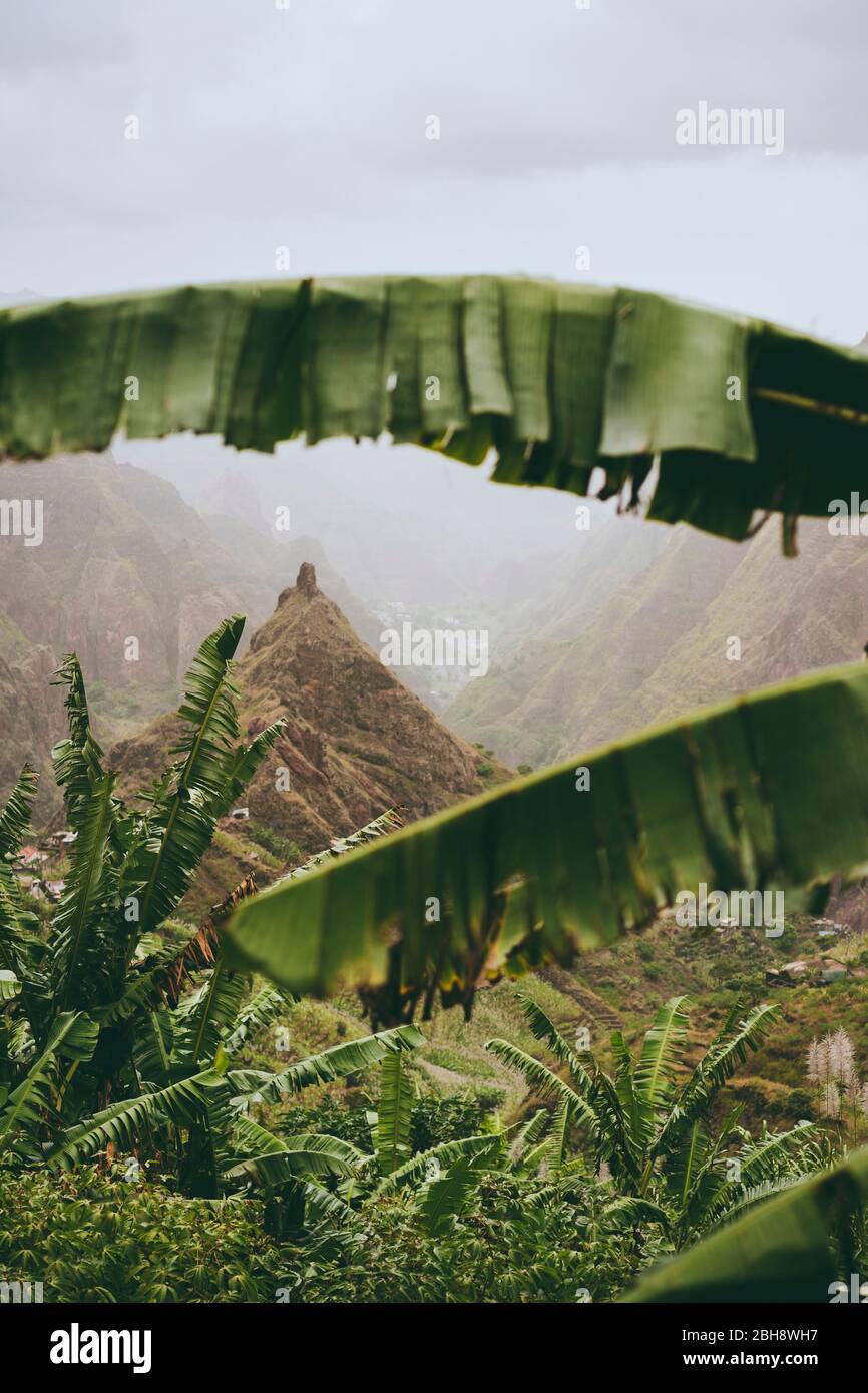Picco di montagna della valle di Xo-xo visibile attraverso le foglie di banana cornice lungo la valle. Uno dei migliori percorsi di trekking sull'isola di Santo Antao, Capo Verde. Tempo nuvoloso. Foto Stock