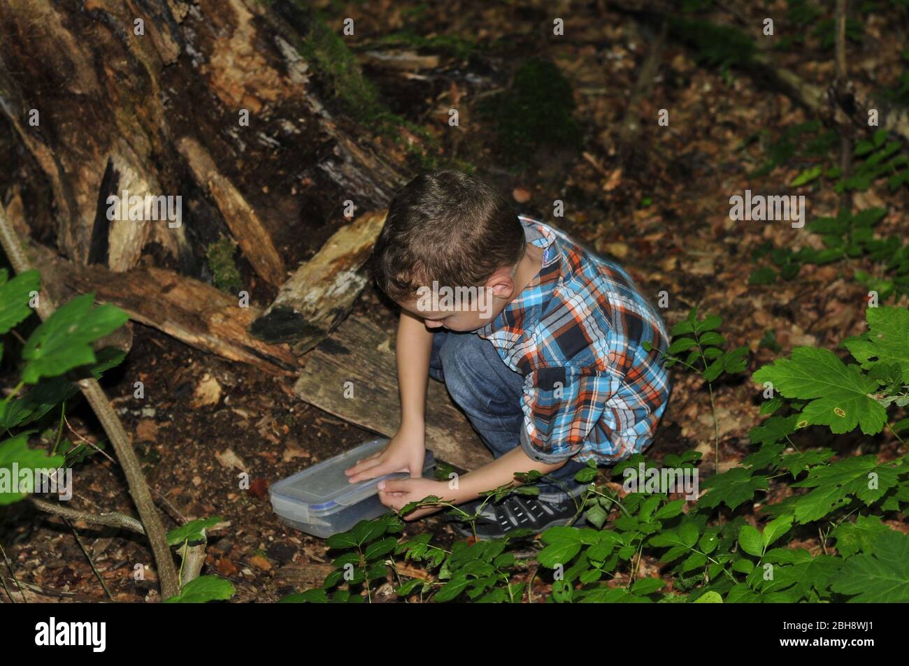 Giovane in una foresta geocaching con tesoro Foto Stock