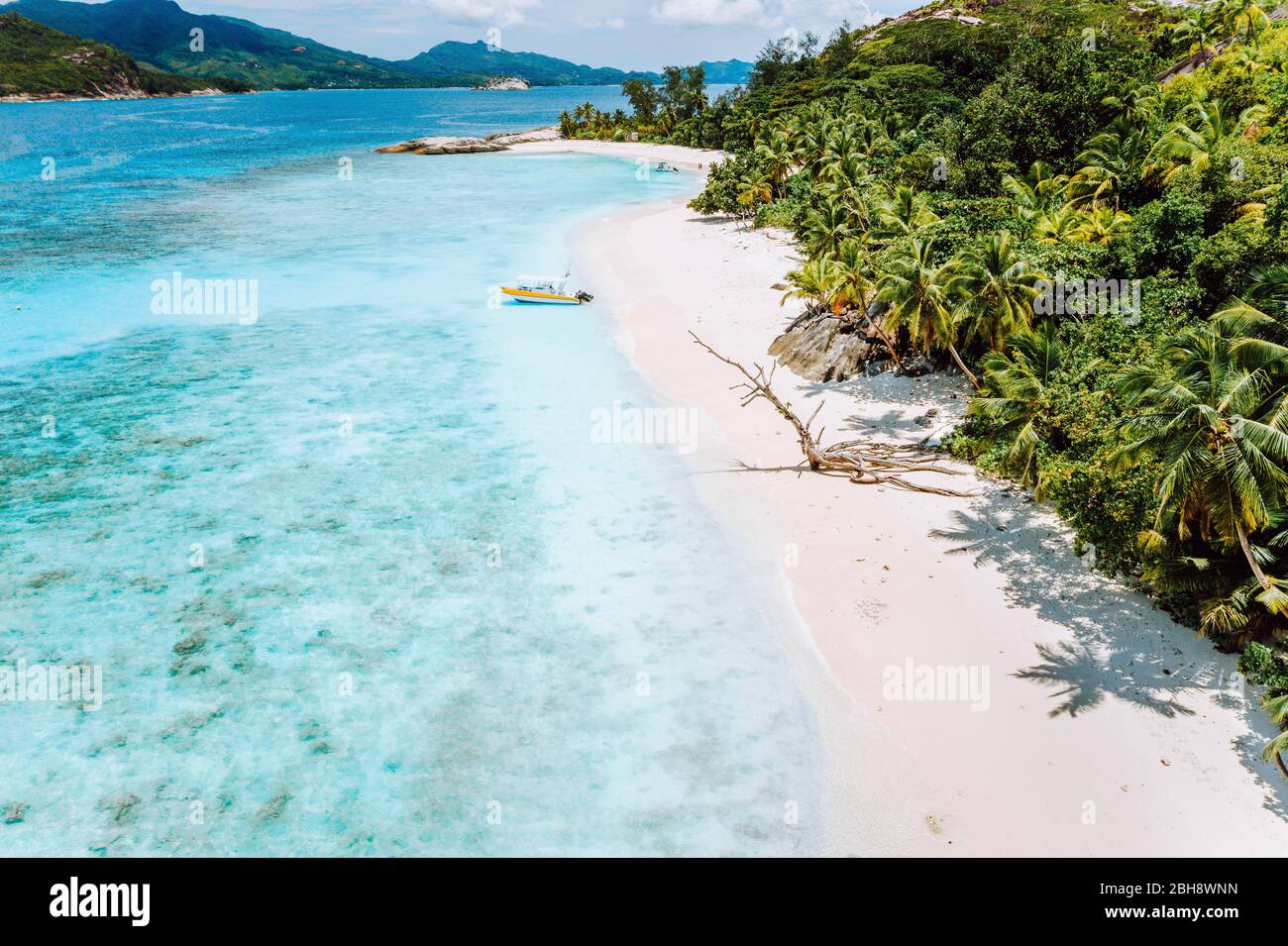 Gita di un giorno all'Isola di Therese. Mahe. Una vista aerea drone dalla laguna blu e barca turistica solitaria arrivare a riva a spiaggia di sabbia con palme tropicali. Concetto di viaggio. Foto Stock