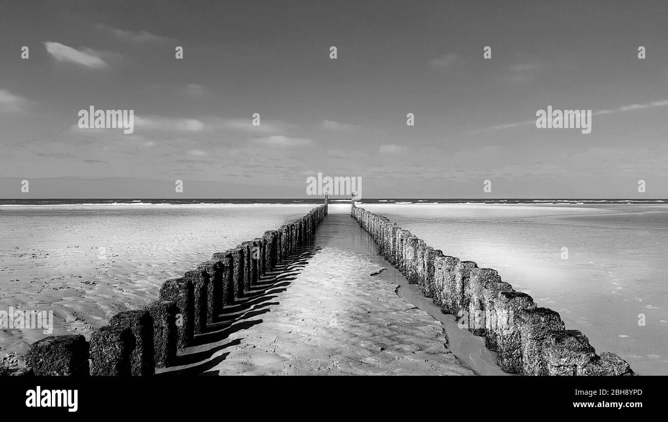 Buhnen in Olanda mit Blick auf das Meer Foto Stock