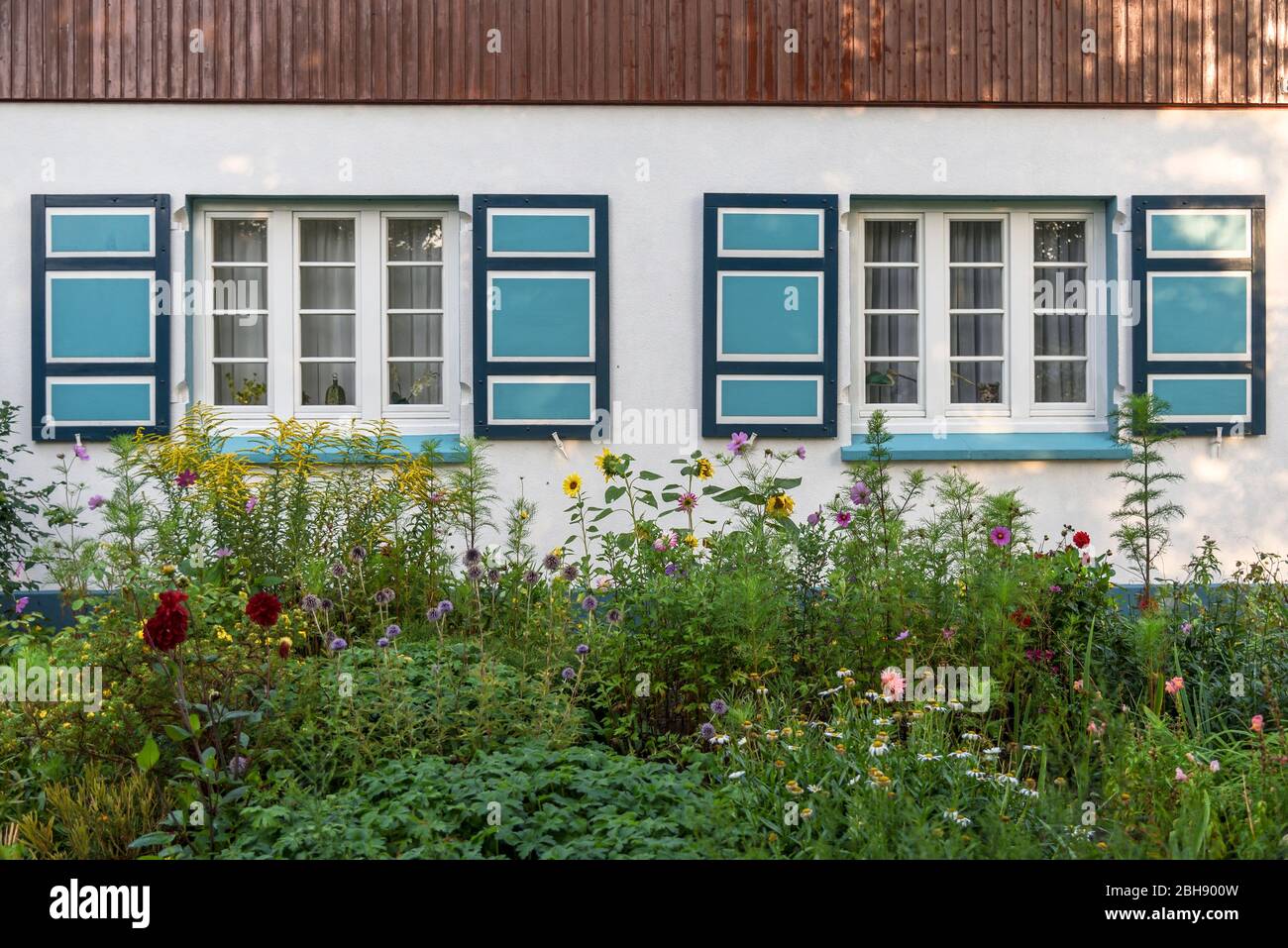 Hausfront mit bunten Fensterläden eines tyfischen Fischerhauses an der Ostsee auf dem Darß, Vorgarten mit bunten blühenden Sommerblumen Foto Stock
