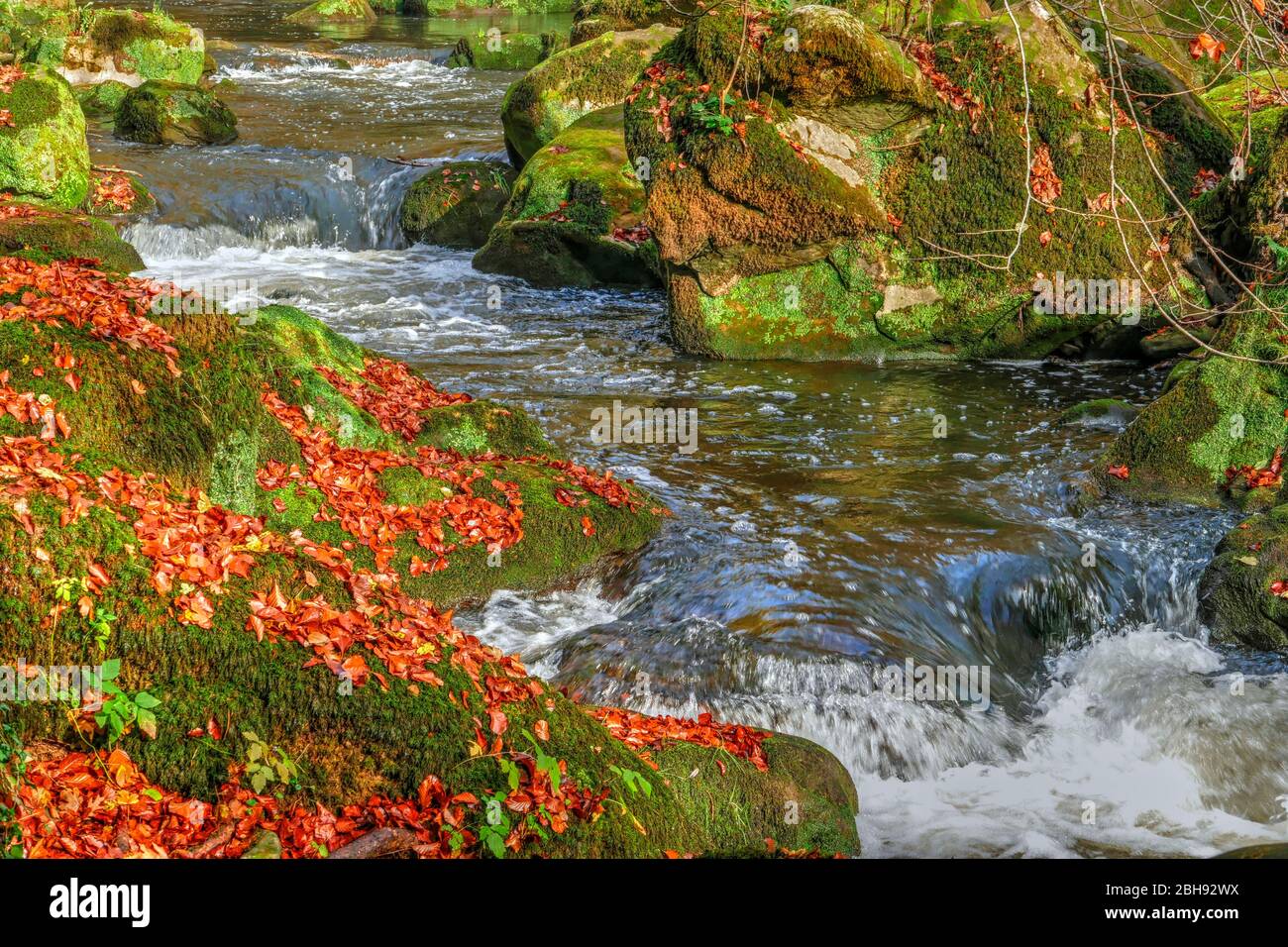 Fiume Prüm alle cascate Irrel a Irrel, riserva naturale Eifel meridionale, Renania-Palatinato, Germania Foto Stock