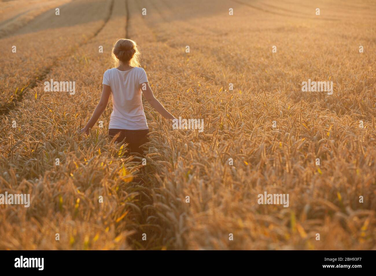 Giovane donna con maglietta bianca e jeans n il campo di mais, luce serale Foto Stock