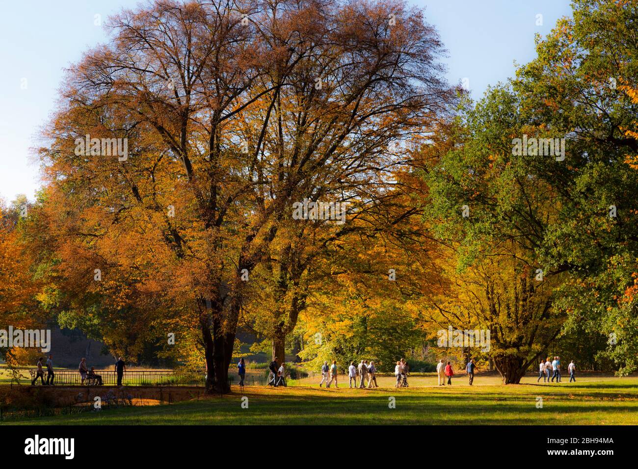 Europa, Germania, Muskau Park / Park Muzakowski / Muskauer Park Foto Stock