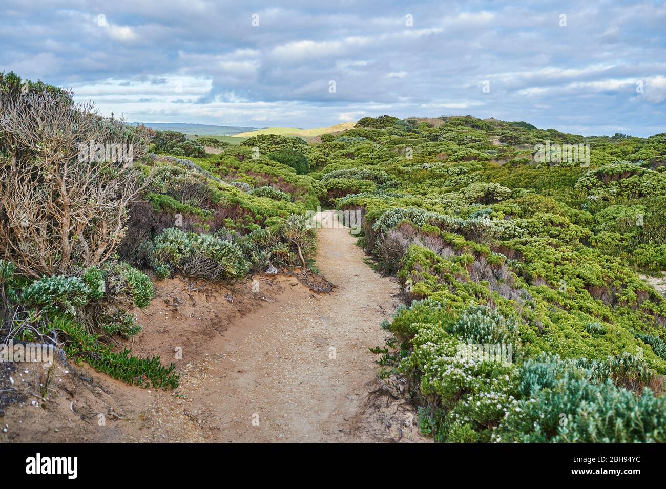 Paesaggio, percorso, Port Campbell National Park, Victoria, Australia, Oceania Foto Stock