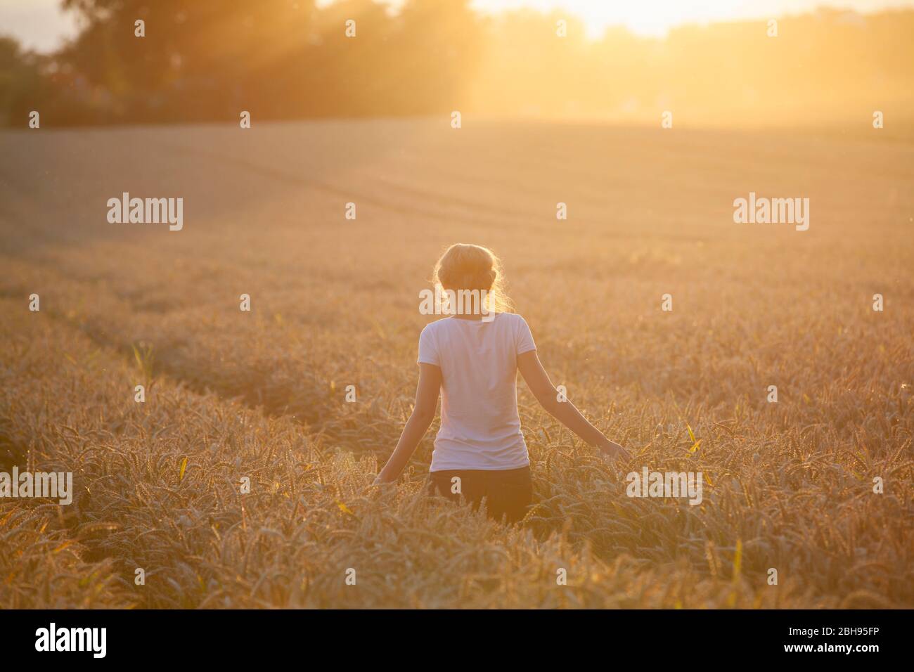 Giovane donna con maglietta bianca e jeans n il campo di mais, luce serale Foto Stock