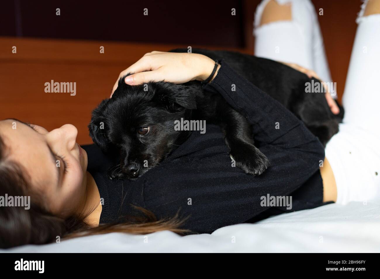 Donna sdraiata a letto abbracciando un cane. Foto Stock