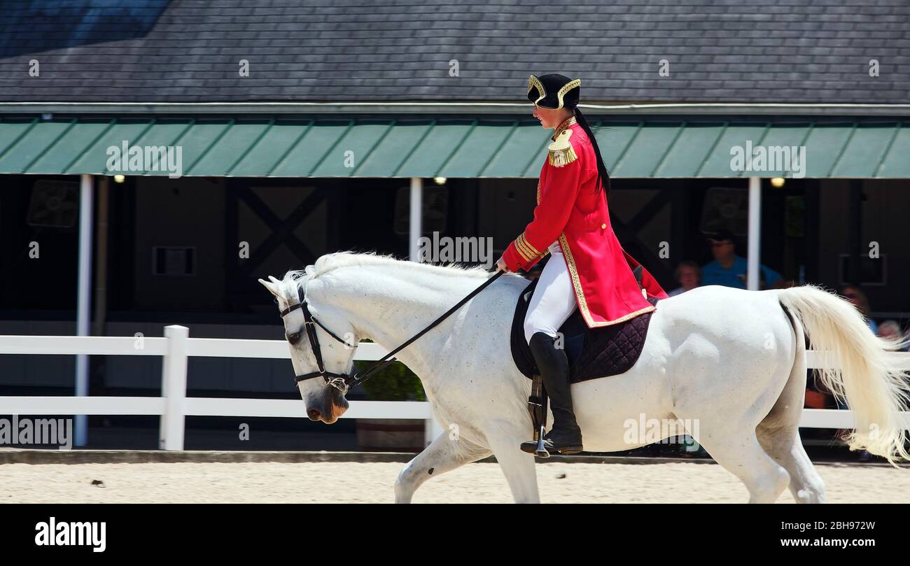 Spettacolo di cavalli, equini bianchi, cavaliere in giacca militare rossa, finiture dorate, pantaloni bianchi, cappello e stivali neri, spettacolo, intrattenimento, animale, abilità, Kentucky Foto Stock
