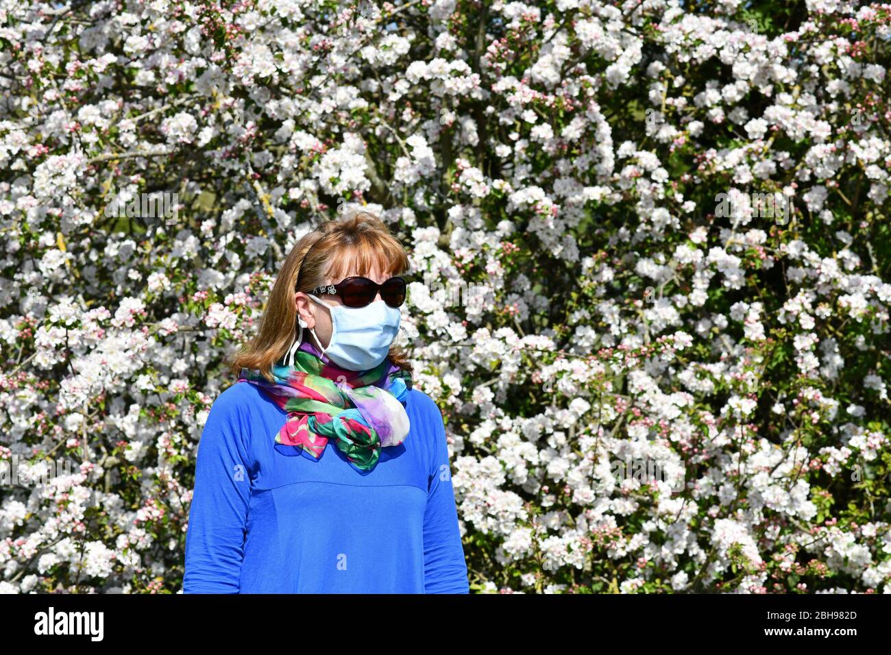 Donna che indossa la maschera facciale durante la pandemia di Coronavirus Gran Bretagna in fiore 2020. Maschera facciale COVID 19 coronavirus Foto Stock
