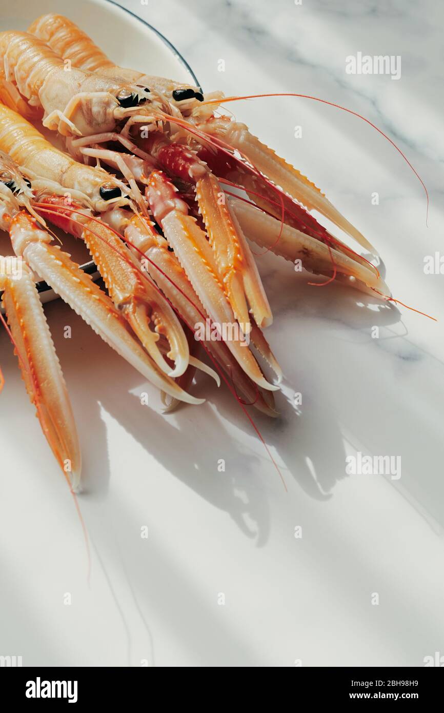 Lussuosi e freschi langoustine crude. Primo piano su un piatto bianco con spazio per la copia. Foto Stock