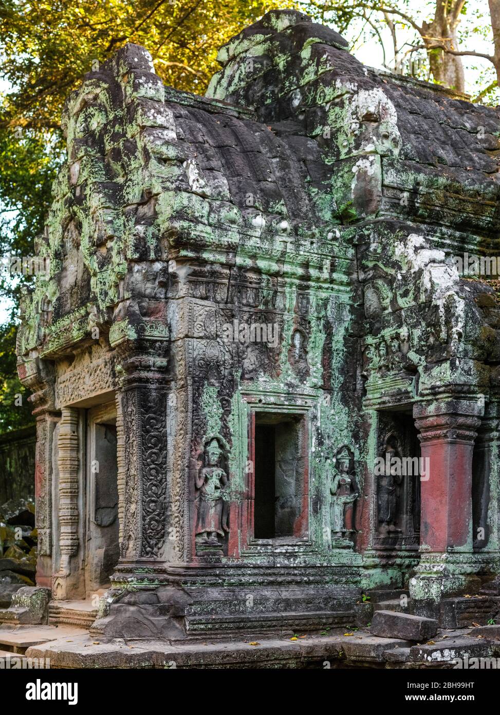Rovine del tempio, Ta Prohm, Angkor Archaeological Park, Siem Reap, Cambogia, Foto Stock