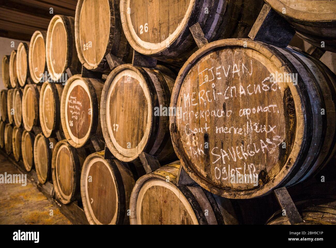 Armenia, Svizzera di Armenia area, Ijevan, Ijevan Fabbrica del vino, cantina, ER Foto Stock