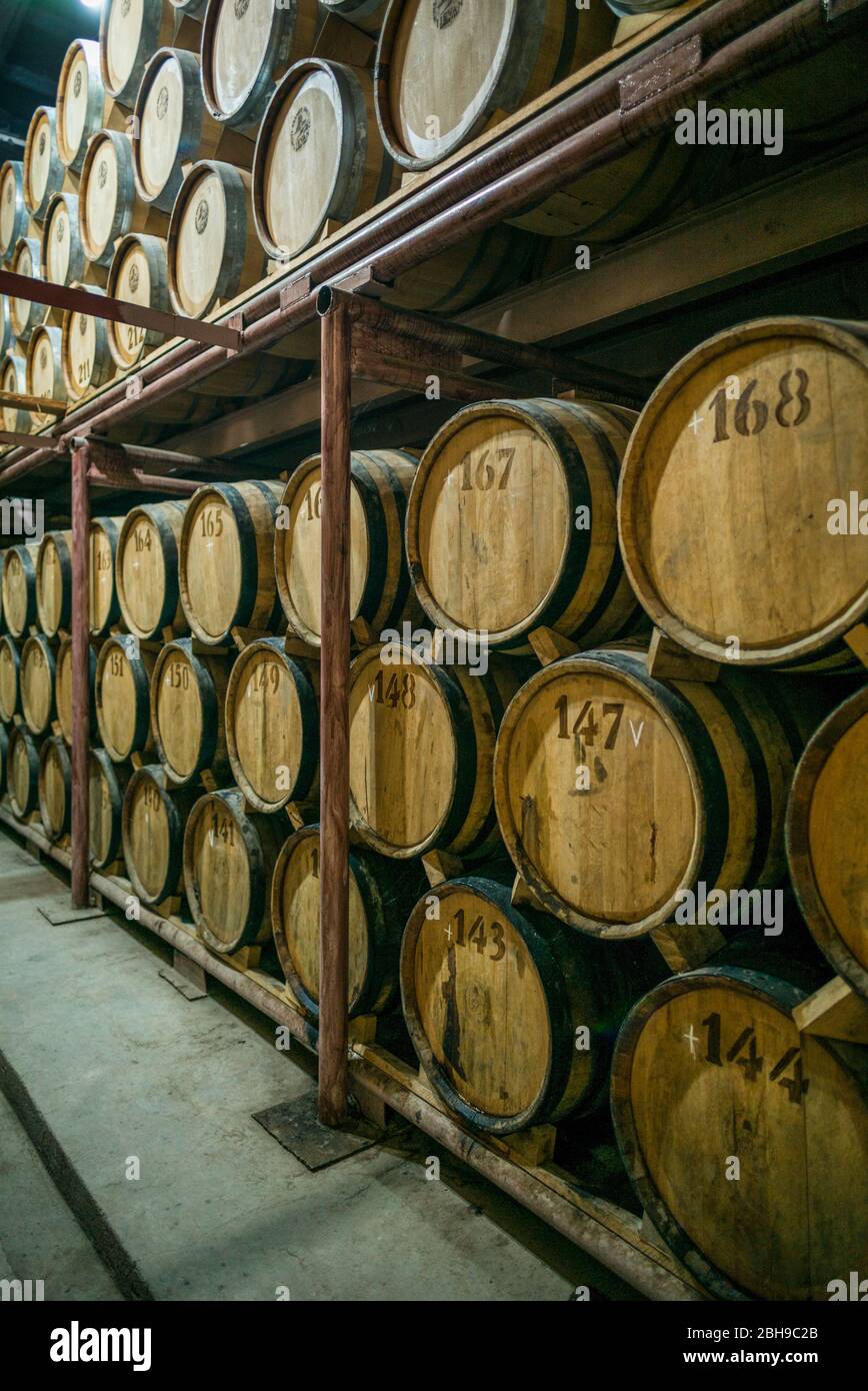 Armenia, Svizzera di Armenia area, Ijevan, Ijevan Fabbrica del vino, cantina, ER Foto Stock