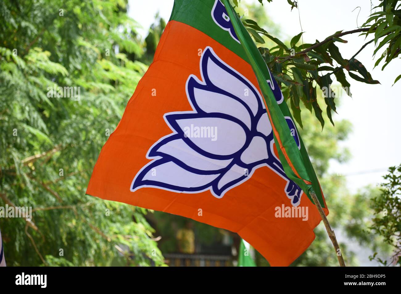 Bharatiya Janta Party BJP Bandiera Bhopal India Foto Stock