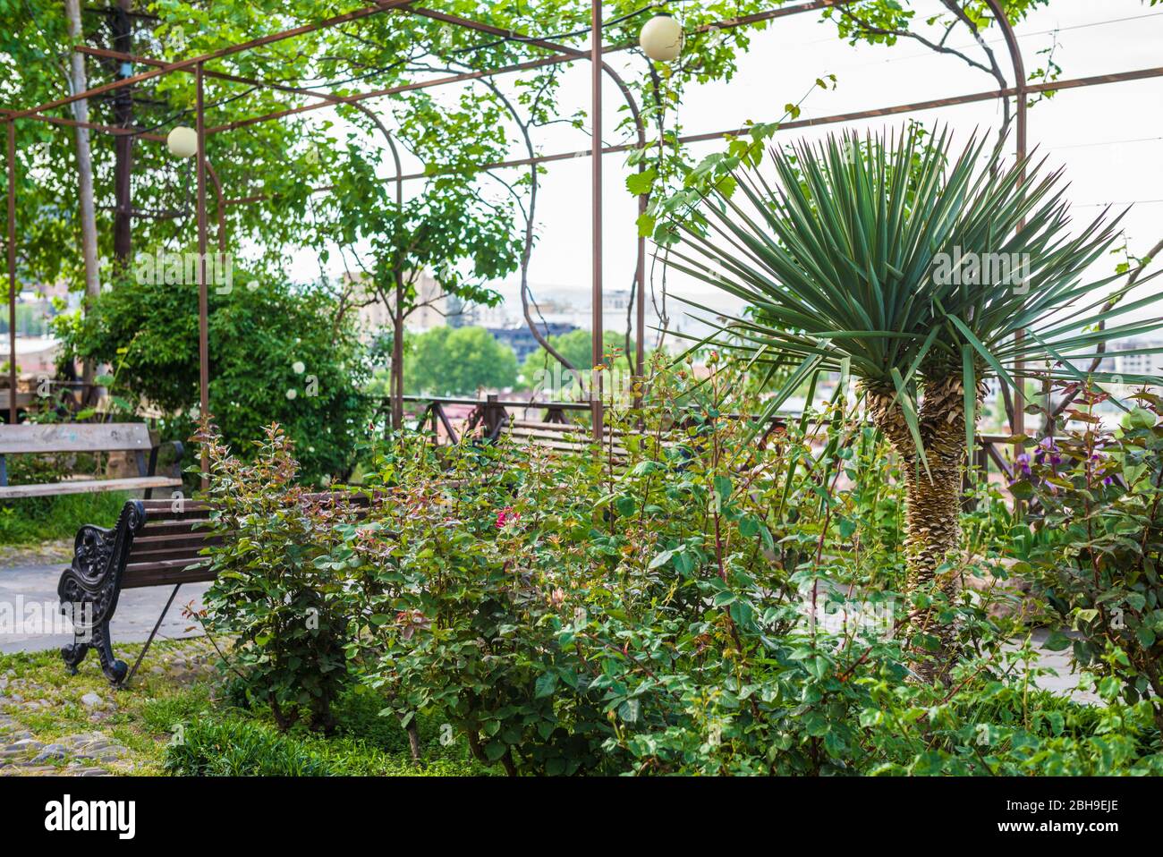 La Georgia, Tbilisi, Old Town, Parco di piccole dimensioni Foto Stock