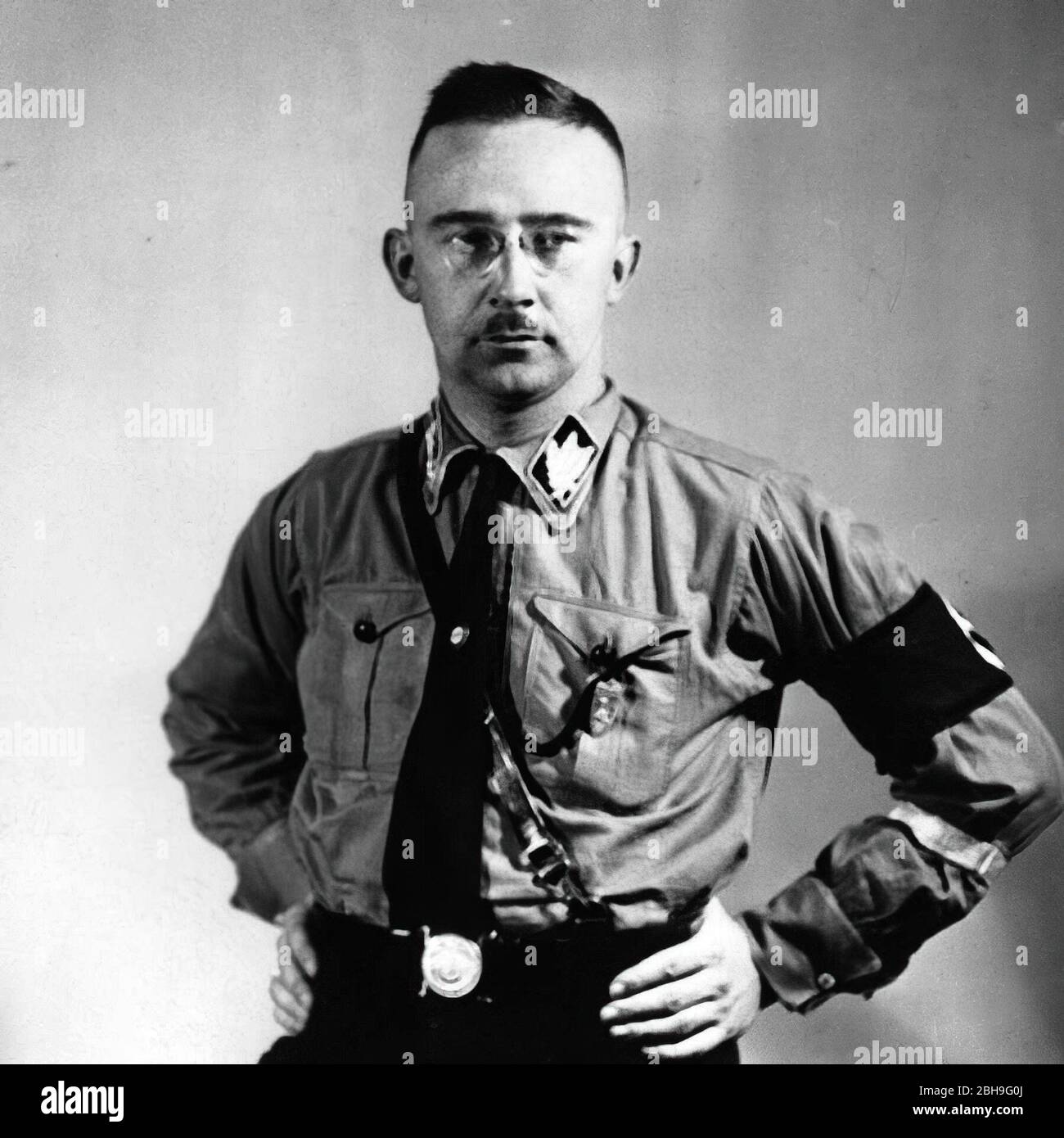 Heinrich Himmler Foto Stock