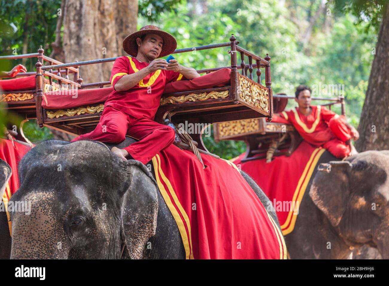 Cambogia, Angkor, Angkor Thom, elefanti con mahout, nessuna uscita Foto Stock