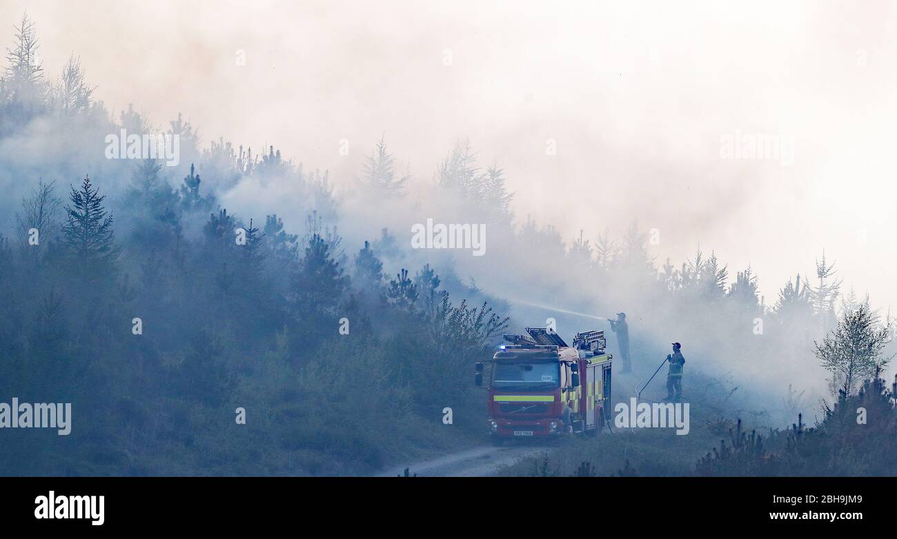 Un fuoco attraverso una grande area di gola a Newry, dove i vigili del fuoco stanno affrontando le fiamme che bruciano da diversi giorni, come il Servizio di soccorso e antincendio dell'Irlanda del Nord ha detto che il fuoco selvaggio in questa fase sembra essere stato deliberatamente iniziato. Foto Stock