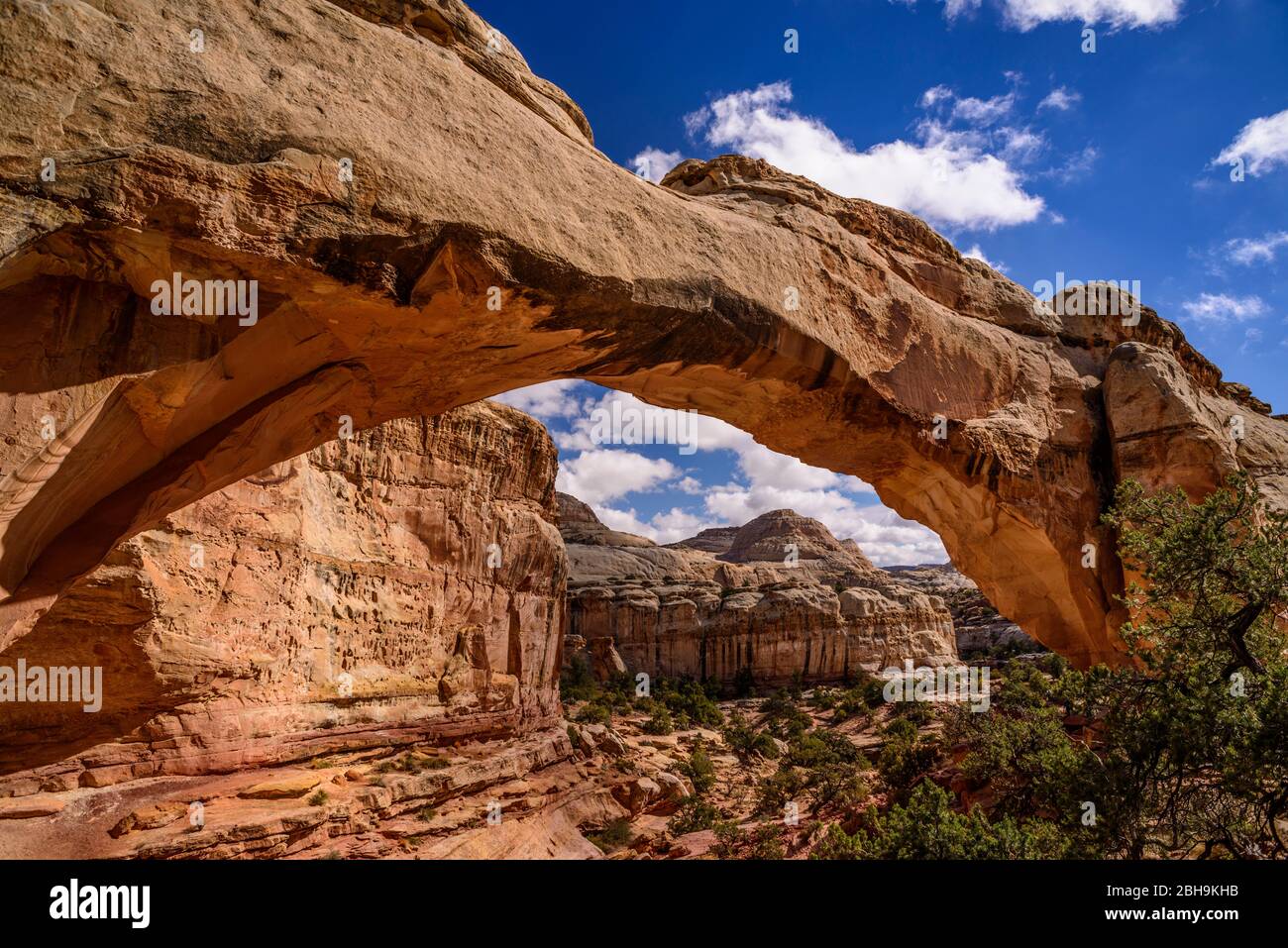 USA, Utah, Wayne County, Torrey, Capitol Reef National Park, Hickman Bridge Gegen Capitol Dome Foto Stock