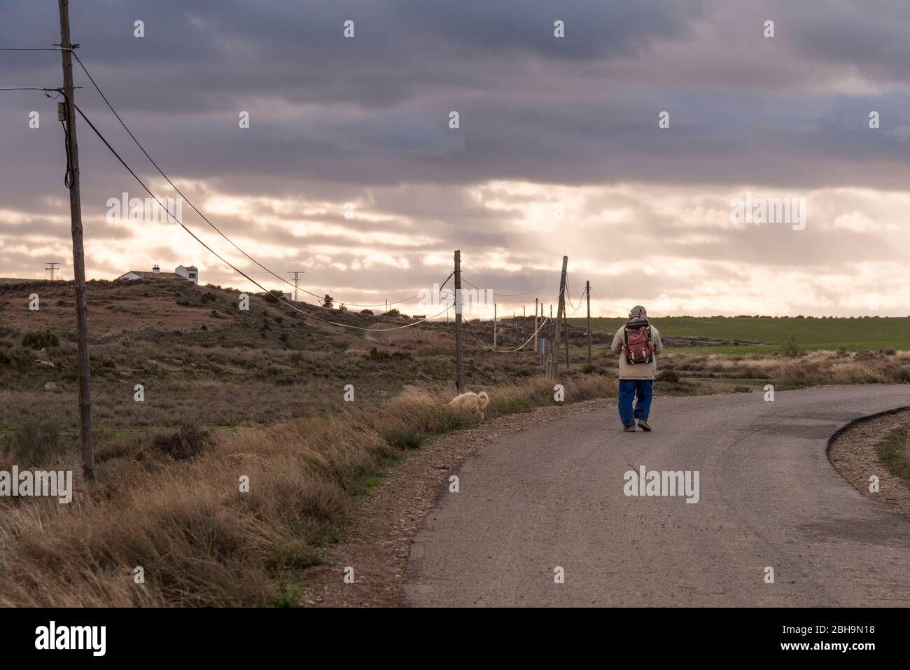 RoadTrip in inverno attraverso il semi-deserto Bardenas Reales, Navarra, Spagna. Riserva della Biosfera UNESCO con, tra gli altri, Castil de Tierra, i Monti Pisquerra e Bardena Blanca. Pastore con il suo cane. Foto Stock