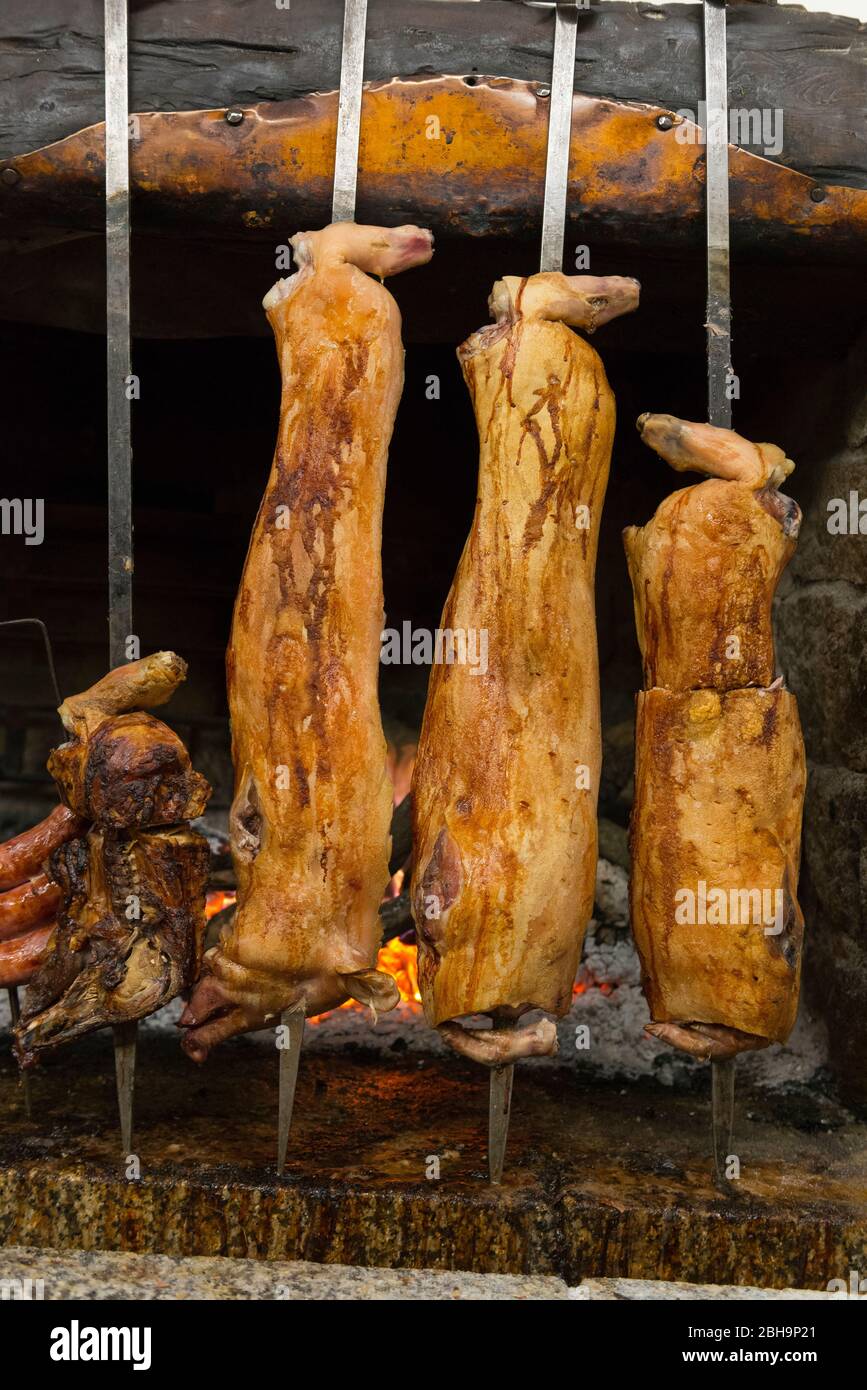 Italia, isola Mediterranea Sardegna (Sardegna), Oliena, su Gologone Experience Hotel, cucina pastorale e contadina, cucina tipica rurale tradizionale, su Porceddu, specialità, piatti nazionali, maiale Foto Stock