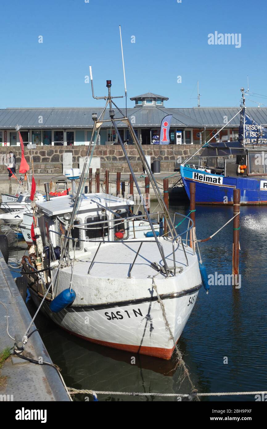 Stadthafen, Sassnitz, Rügen, Mecklenburg-Vorpommern, Germania, Europa Foto Stock