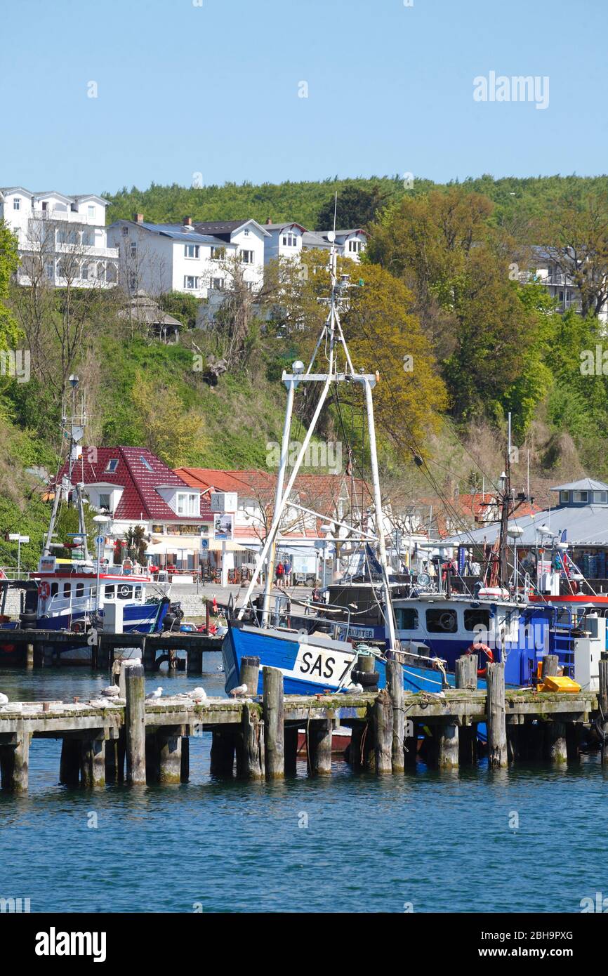 Stadthafen, Sassnitz, Rügen, Mecklenburg-Vorpommern, Germania, Europa Foto Stock