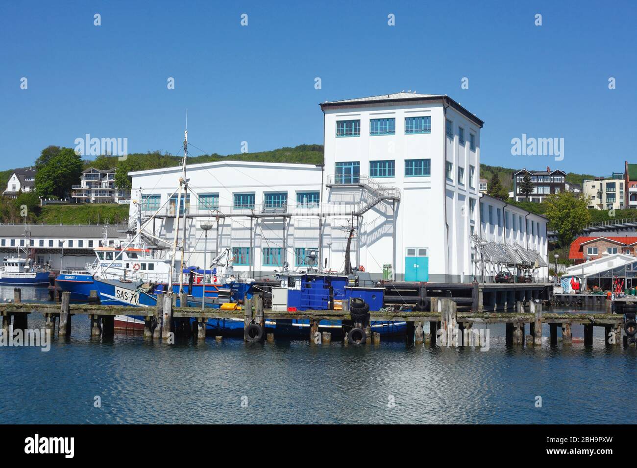 Stadthafen, Sassnitz, Rügen, Mecklenburg-Vorpommern, Germania, Europa Foto Stock