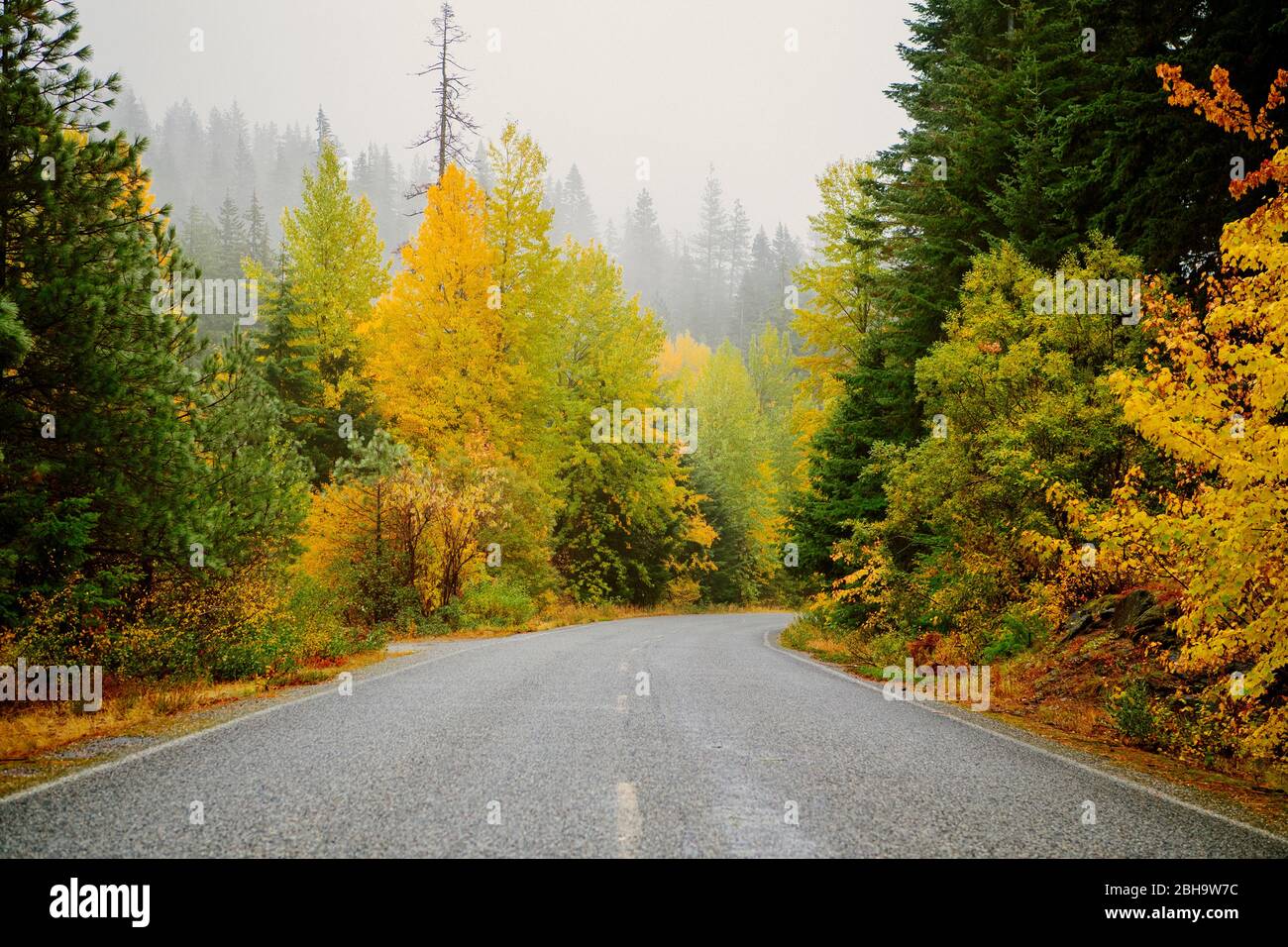 Vista della strada tra alberi autunnali, Leavenworth, Washington, USA Foto Stock