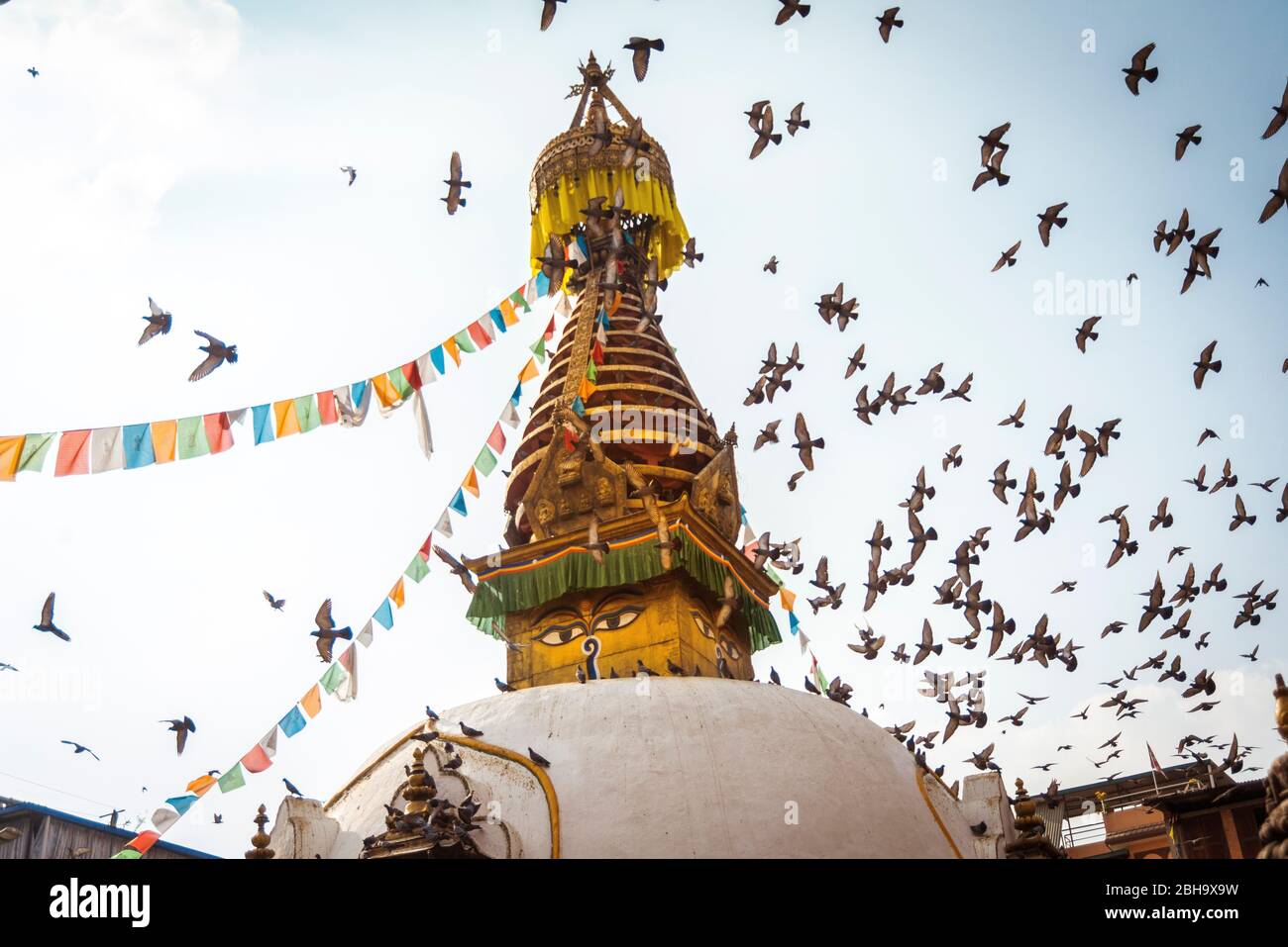 Gregge di uccelli con stupa, Foto Stock