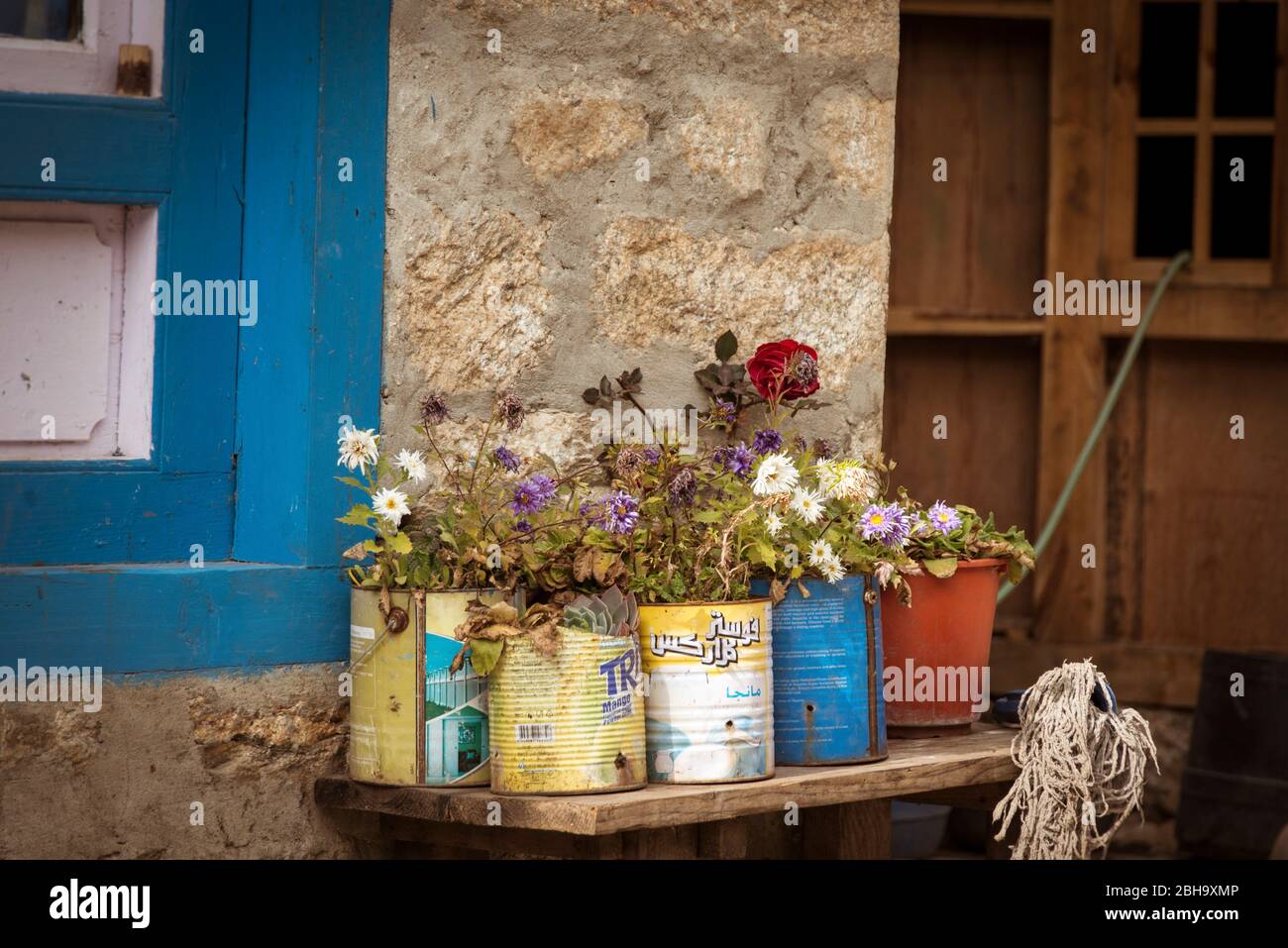 fiori secchi in vecchi vasi di vernice sul muro della casa Foto Stock