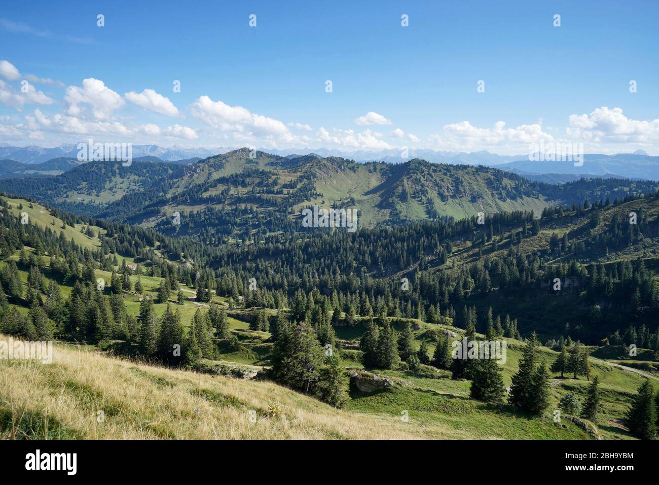 Germania, Baviera, Oberstaufen, Alpi Allgäu, Voralpen a ovest del Iller, Nagelfluh gamma, vista dal Hochgrat, 1834 m, in direzione sud Foto Stock