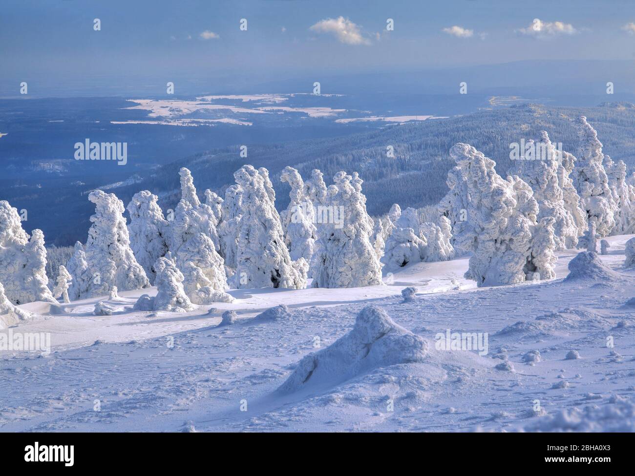 Paesaggio invernale con alberi ghiacciati a Brocken, Wernigerode, Harz Nature Park, Sassonia-Anhalt, Germania Foto Stock
