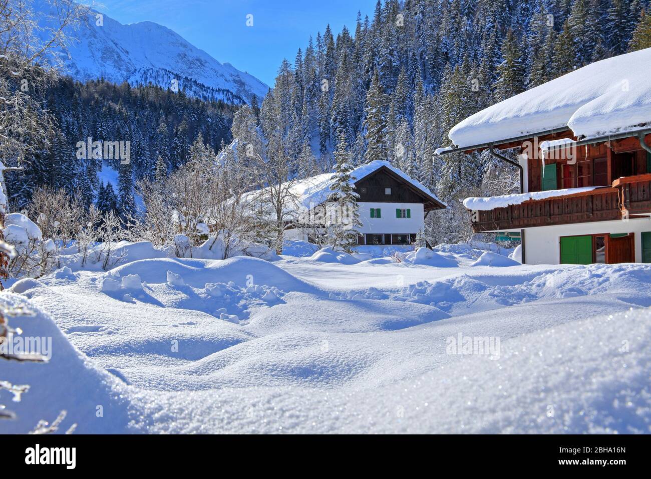 Azienda di neve profonda, a Elmau, vicino a Klais, Werdenfelser Land, alta Baviera, Germania Foto Stock