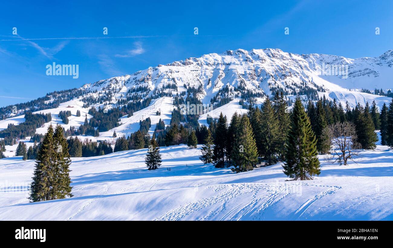 Impianti di risalita, Inverno am Iseler, Oberjoch, Alpi Allgäu, Germania Foto Stock