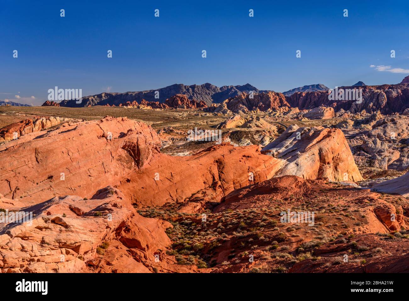 USA, Nevada, Clark County, Overton, Valley of Fire state Park, Felsformationen am White Domes Scenic Byway nahe White Domes Foto Stock