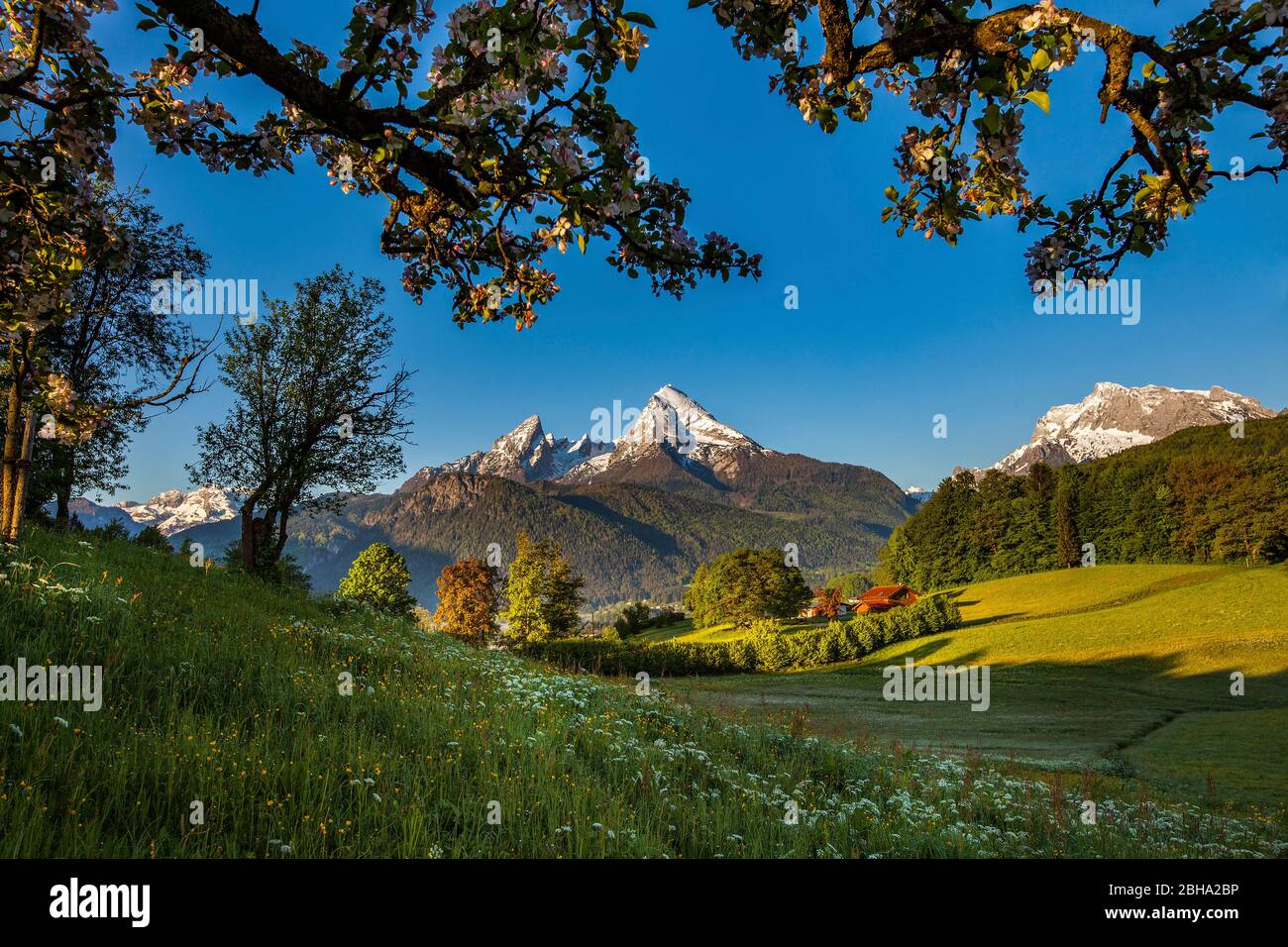 Paesaggio idilliaco nelle Alpi con le montagne di Watzmann e Hochkalter Foto Stock