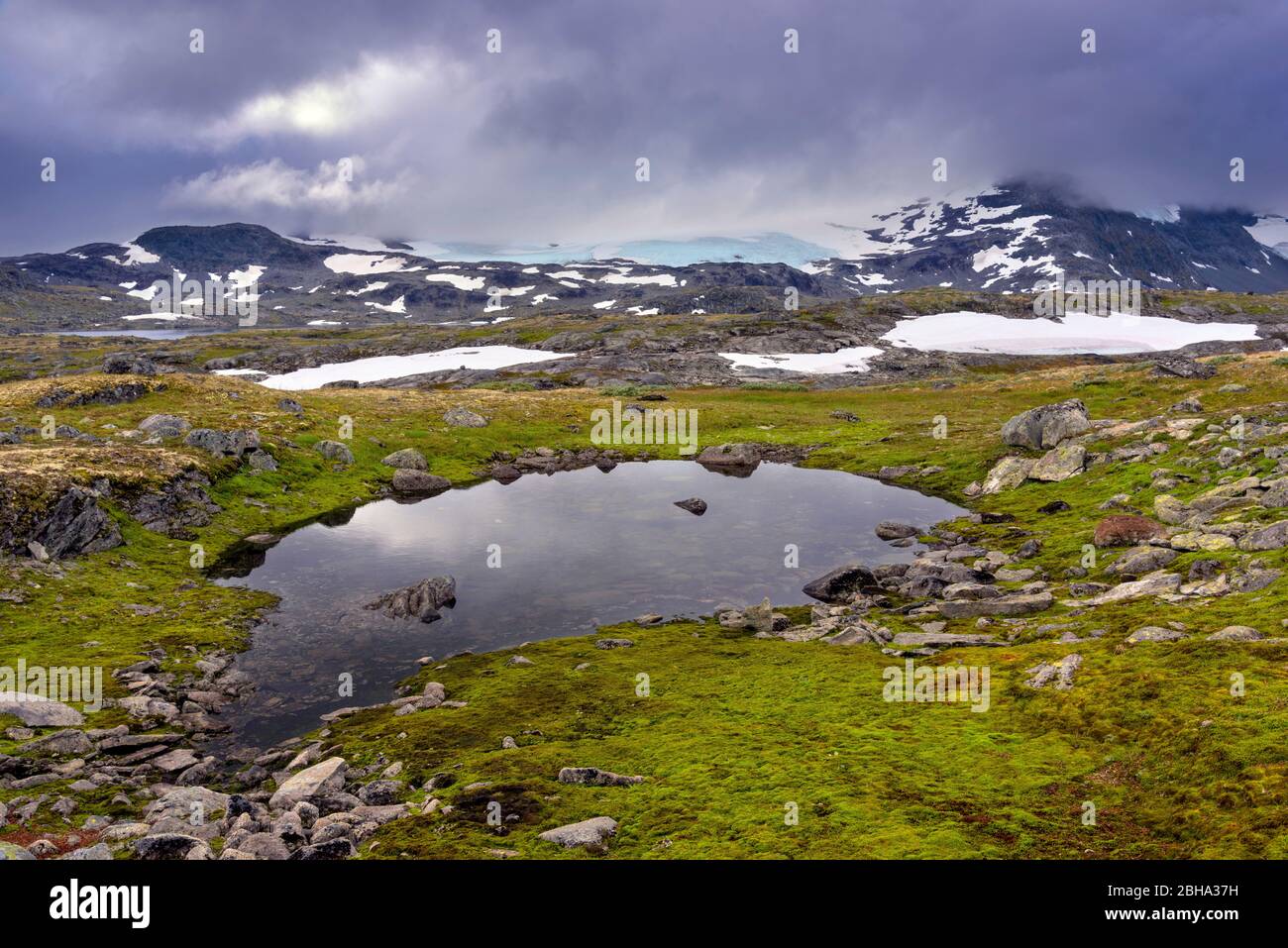 Estate, altopiani, montagne, acqua, Sognefjellet, Oppland, Norvegia, Europa Foto Stock