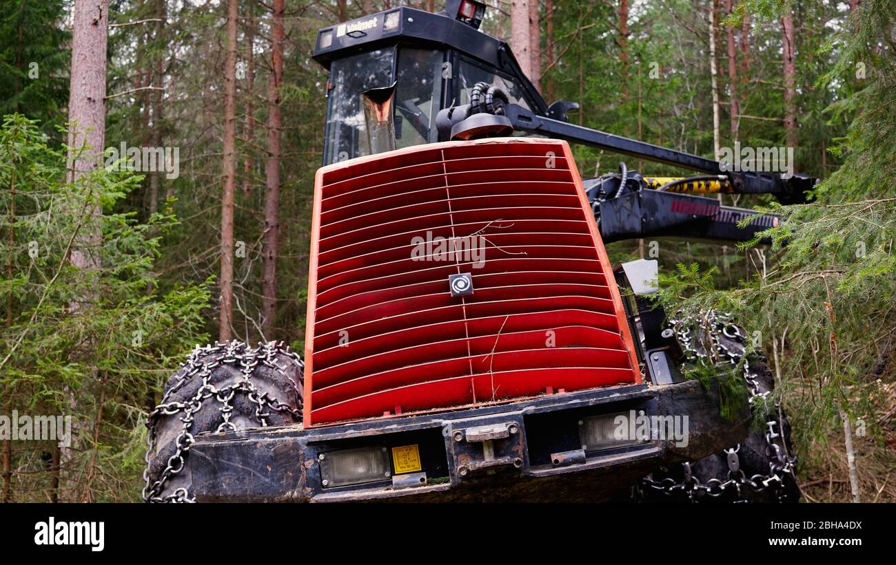 Macchina per il disboscamento delle attrezzature per silvicoltura Valmet / mietiforaggi vista da dietro Foto Stock