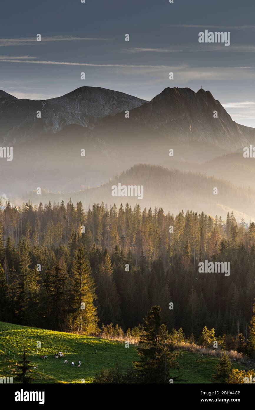 Europa, Polonia, Polonia minore, Monti Tatra - Giewont Foto Stock