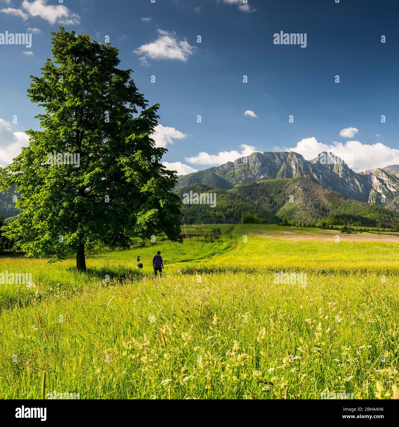 Europa, Polonia, Polonia minore, Monti Tatra - Giewont Foto Stock