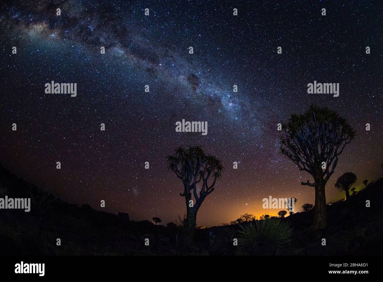 Cielo stellato al crepuscolo, Foresta dell'albero del fremito, Namibia Foto Stock