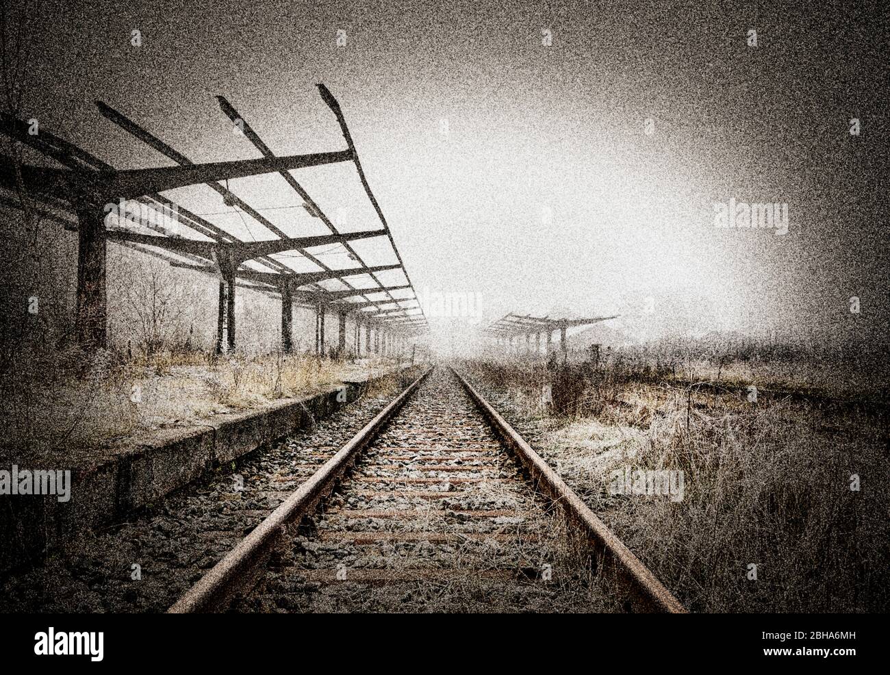 Ferrovie, piattaforme, scentratura, erba, scrub, ipercoltivato, nebbia, digitale editato, RailArt Foto Stock