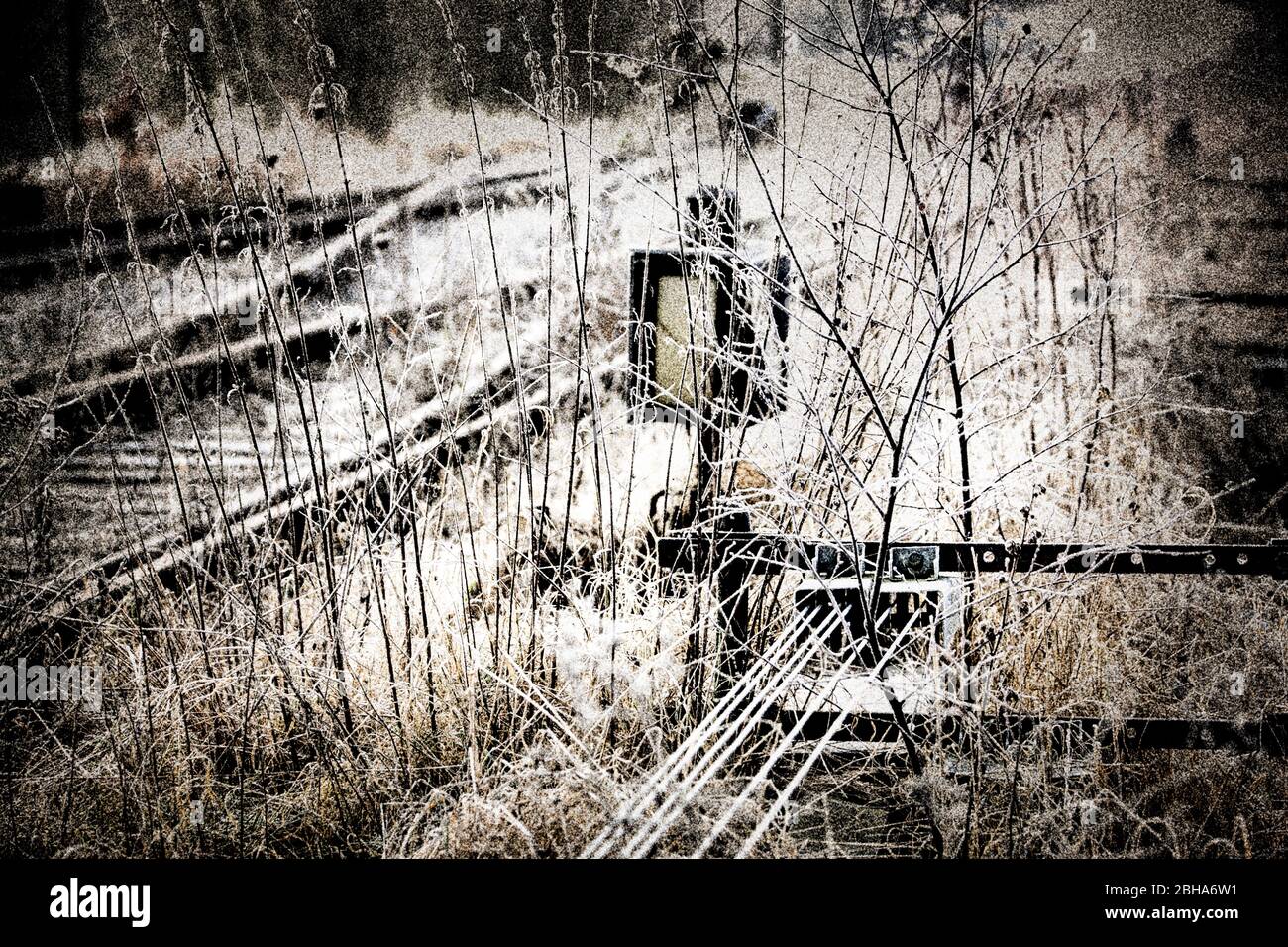 Fili di controllo, indicatori di direzione, fili di controllo, scrub, wild, hoarfrost, processati digitalmente, RailArt Foto Stock